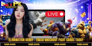 Elimination Derby - Track Knockout Fight Cards Today