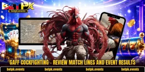 Gaff Cockfighting - Review Match Lines And Event Results