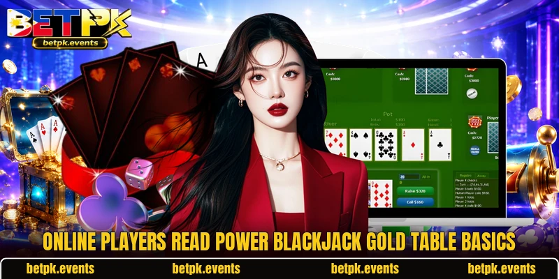 Online players read Power Blackjack Gold table basics