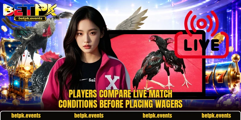 Players compare live match conditions before placing wagers