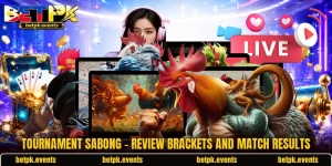 Tournament Sabong - Review Brackets And Match Results